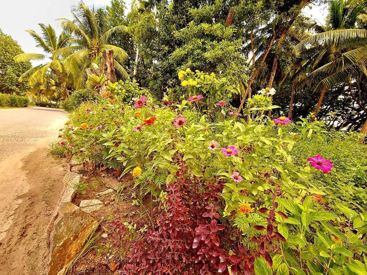 Le Nid De Bea Self-Catering Apartments Insel Insel La Digue Exterior foto